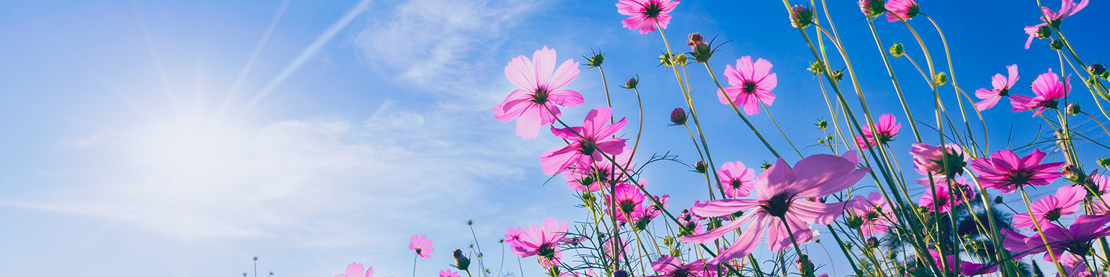 S-POOL Group Sustainability