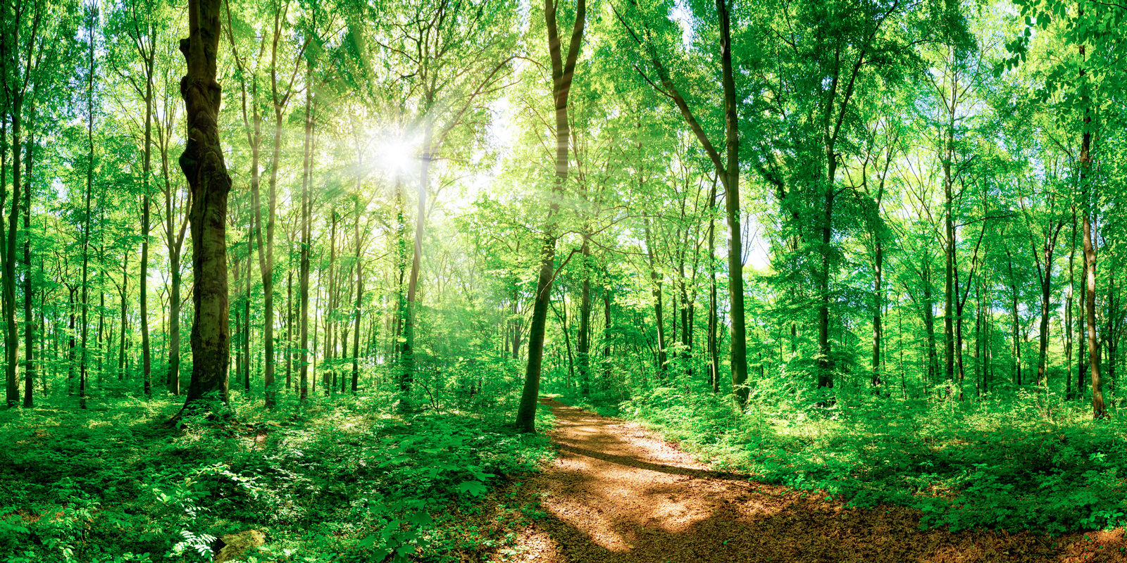 ペーパーレス化の推進